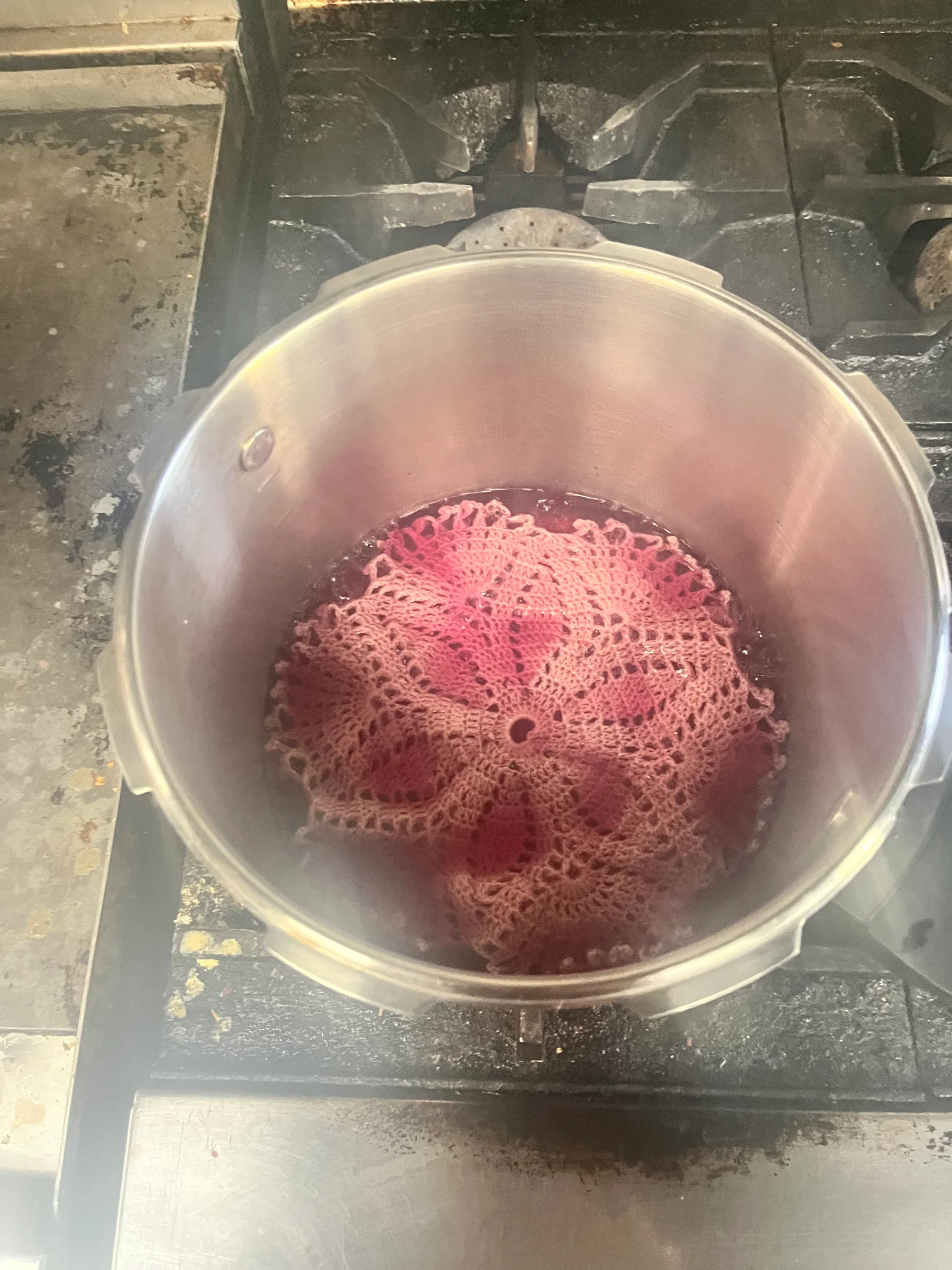 Dying a handmade doily with found natural cochineal insect dye. 